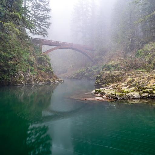 PDX_Photographer