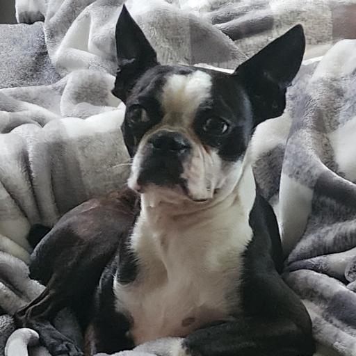 bennychase