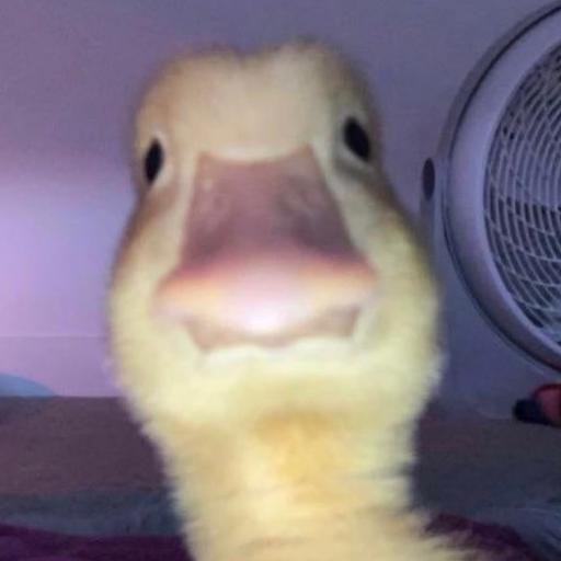 CmanTheMemeMan