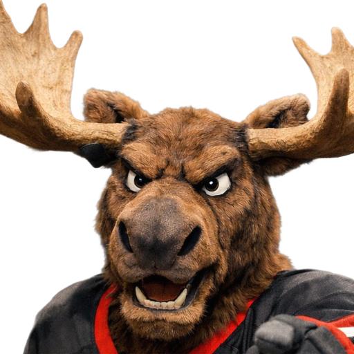 MeanMadMoose