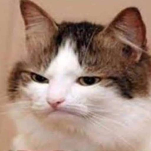 IdahoCatGuy