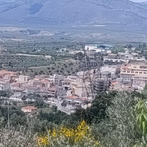 Pacoal