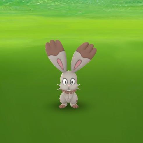 fluffylover