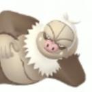 BsMeoN
