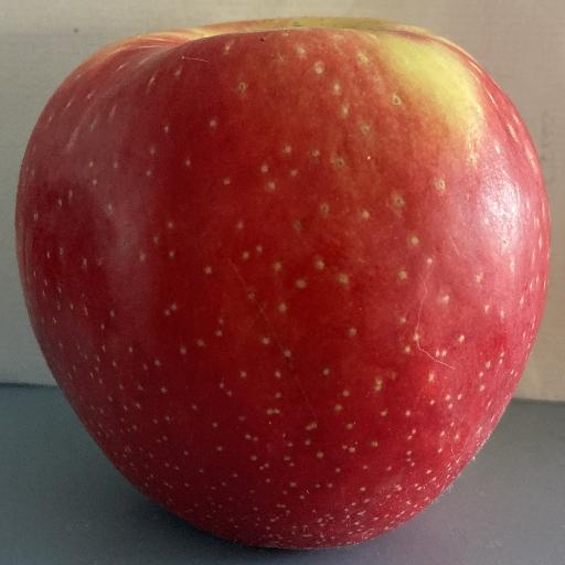 Honeycrisp