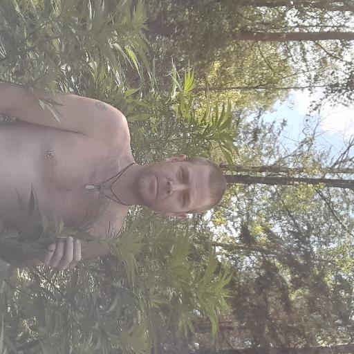BludyRooster