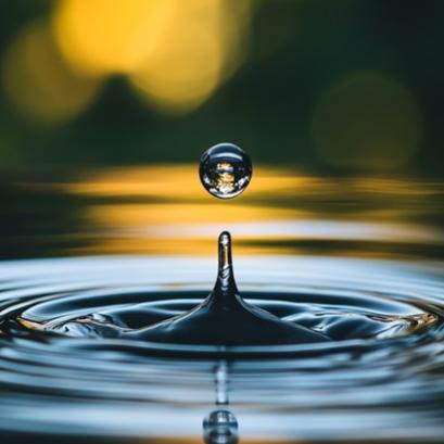 Acqua88