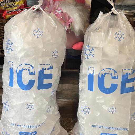 OneDollar_IceBag