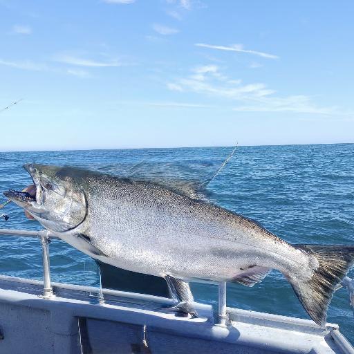 Fishcabob