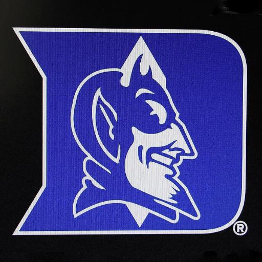 BlueDevil13