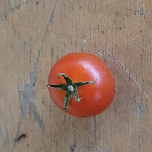 HungryHungarien