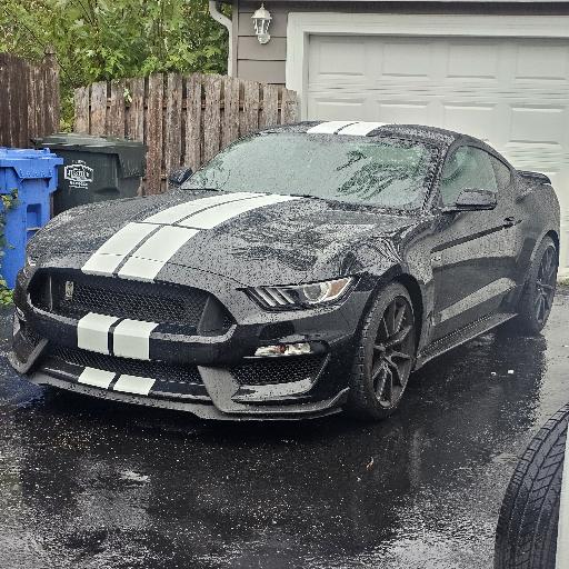 ShelbyGT350