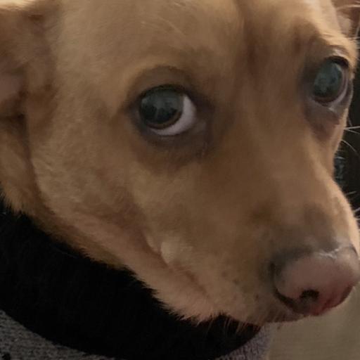 Ttvchuckdrizzle