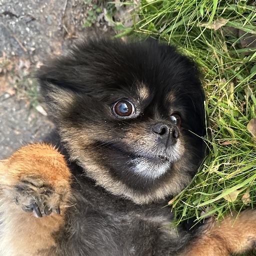Libbygirl