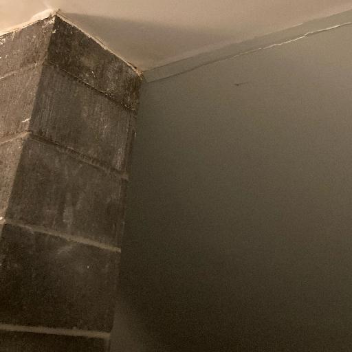Mattpp1