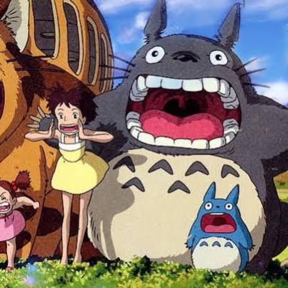 totoro8008