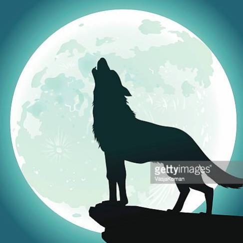 Wolfyn