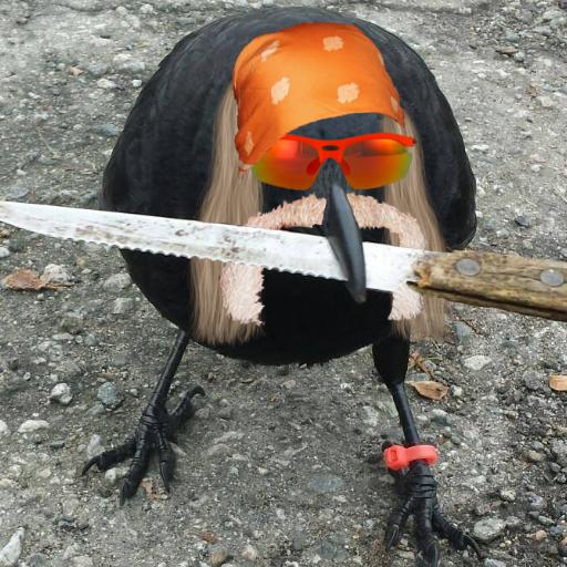 CrowWithKnife