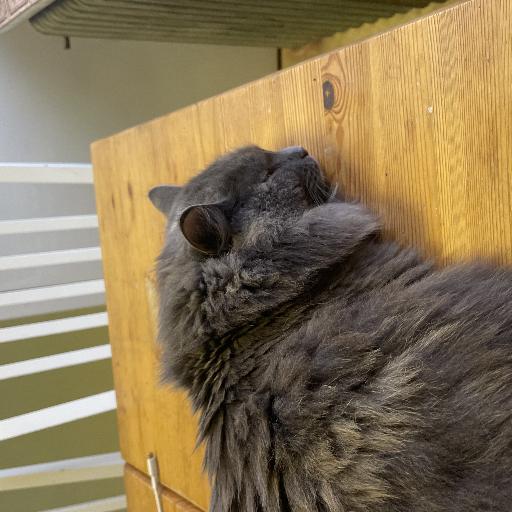 Rumpestumpen
