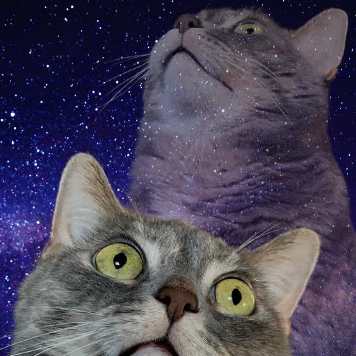 LordKippins