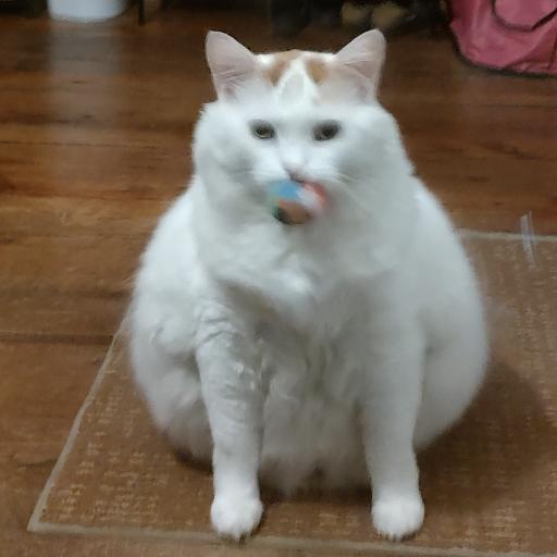 LordPizzatheTame