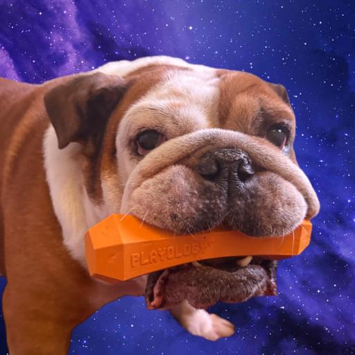 Meatball9