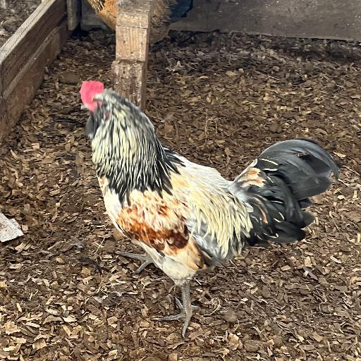 Mtzfarm