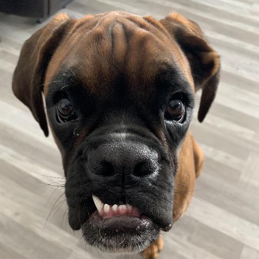 Baxter2022