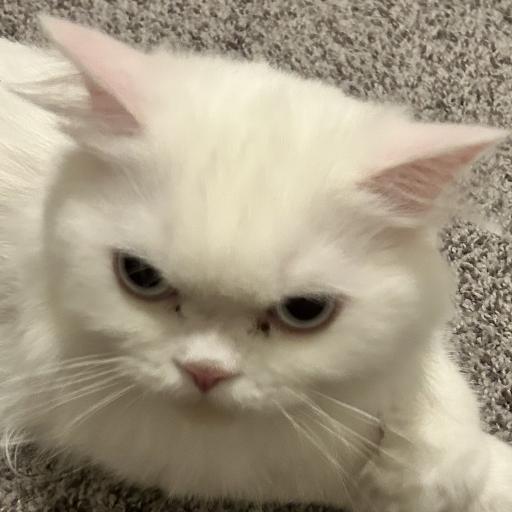 GhostsNGrub