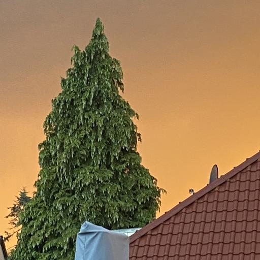 Auge78