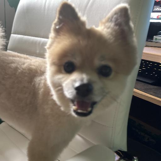JIGAHBOO