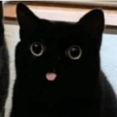 Wensph